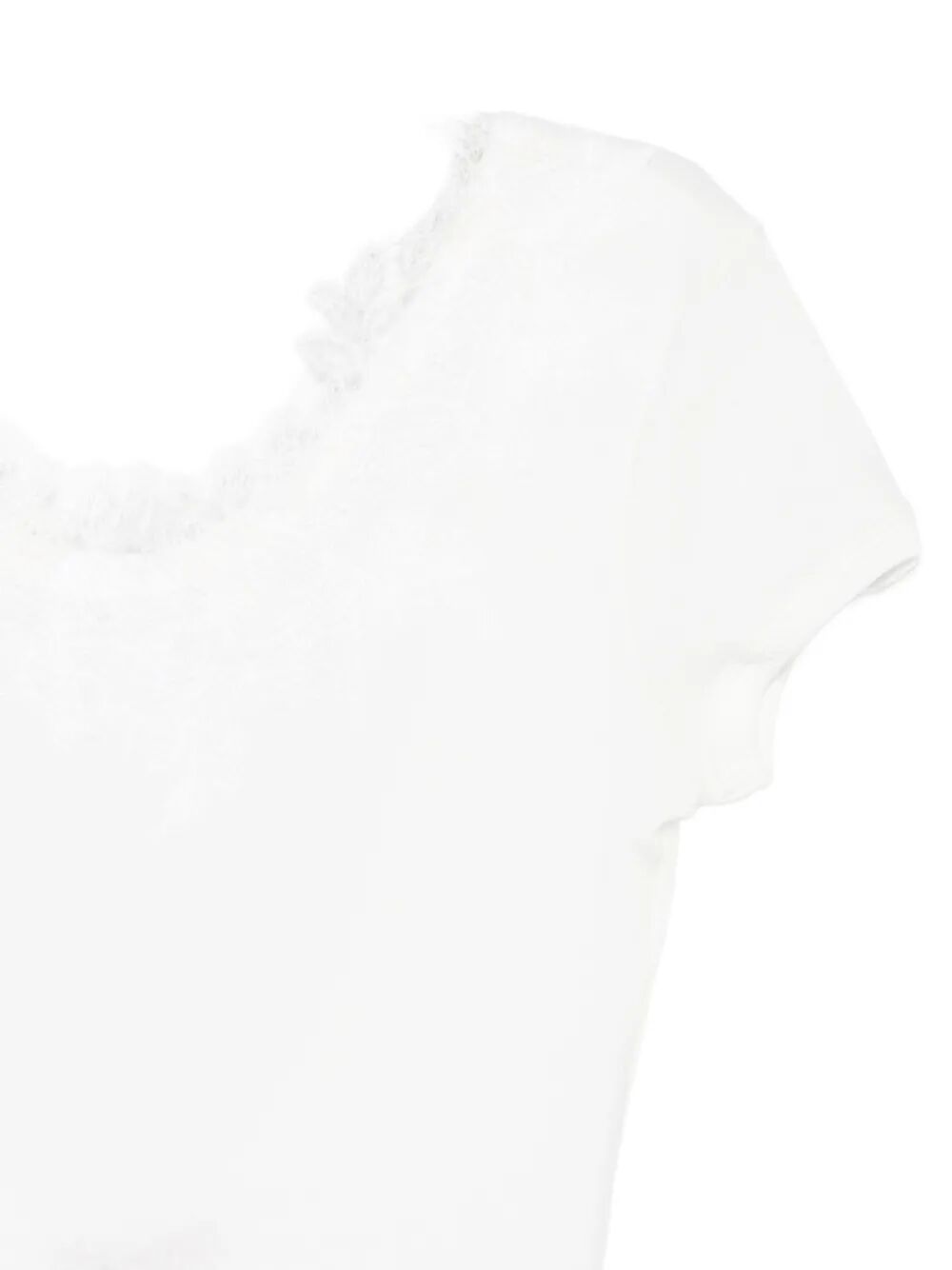 Image of D484Y310GWN
